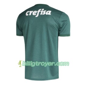 Billige Fotballdrakter Palmeiras 2018/19 Hjemmedraktsett Kortermet